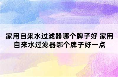 家用自来水过滤器哪个牌子好 家用自来水过滤器哪个牌子好一点